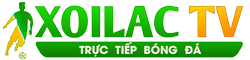 lốp xe vision