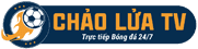lốp xe vision